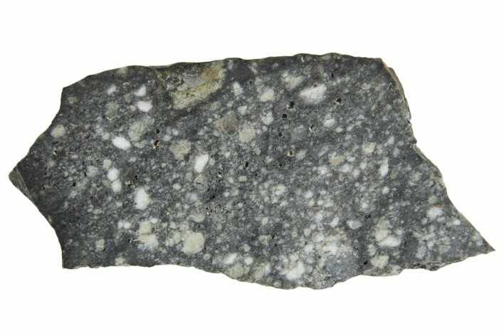 Polished Lunar Meteorite ( g) Slice - Aridal #360148